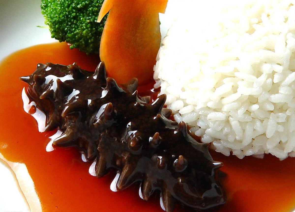 Known for its health benefits and delicate texture, sea cucumber is one of Co To Island’s most prized ocean delicacies