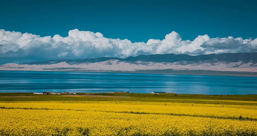Qinghai Lake, the largest saltwater lake in China, captivates with its turquoise waters and vast grasslands
