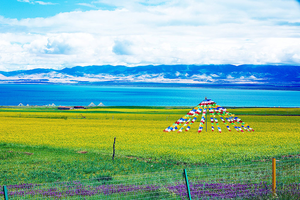 Its expansive wild setting and flocks of migratory birds make it a haven for wildlife photographers