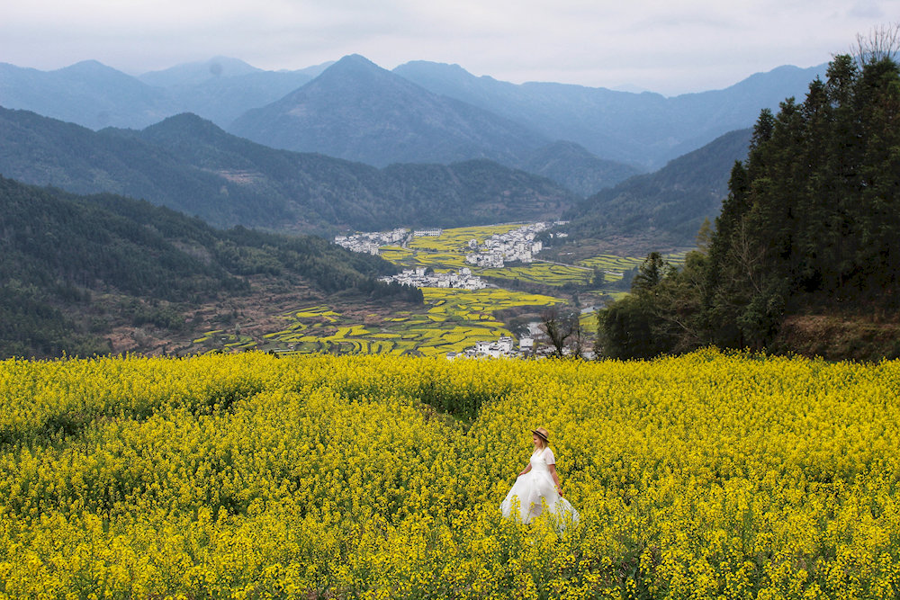Wuyuan is known for its peaceful villages, brilliant canola blossoms, and graceful ancient homes