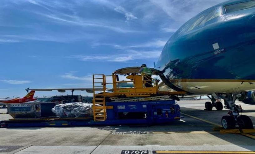 Lịch Bay Trực Tuyến