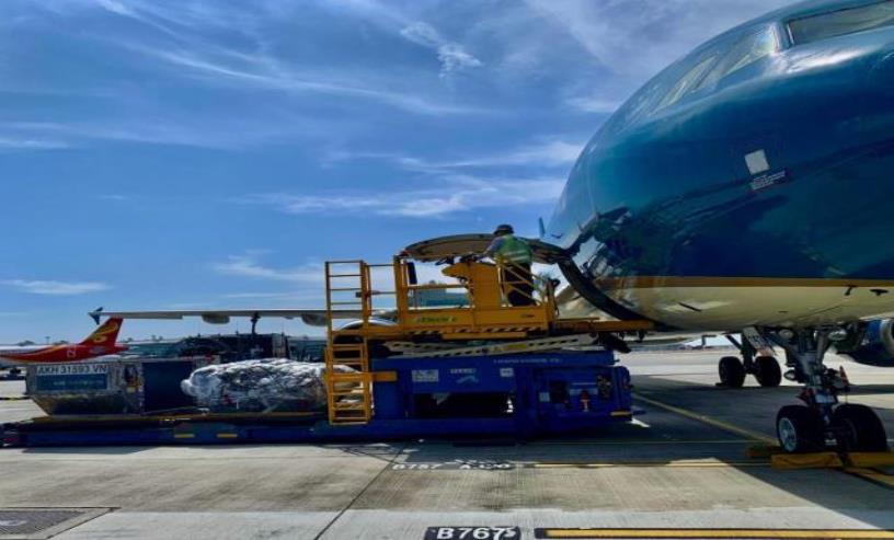 Tra Cứu Lịch Bay Trực Tuyến