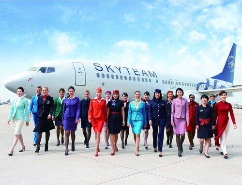 Skyteam-resize.jpg