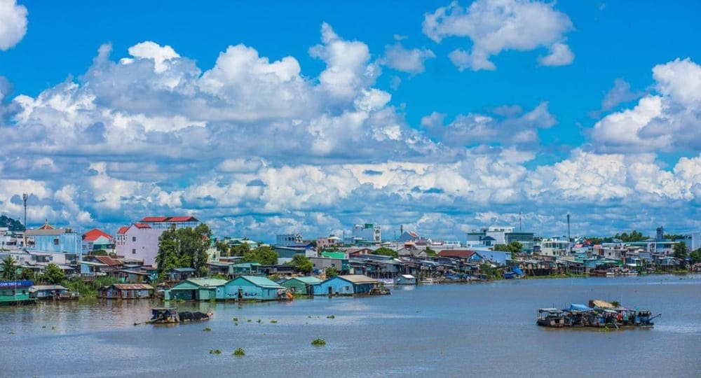 Mekong Delta’s wetlands are perfect for birdwatching and spotting wildlife