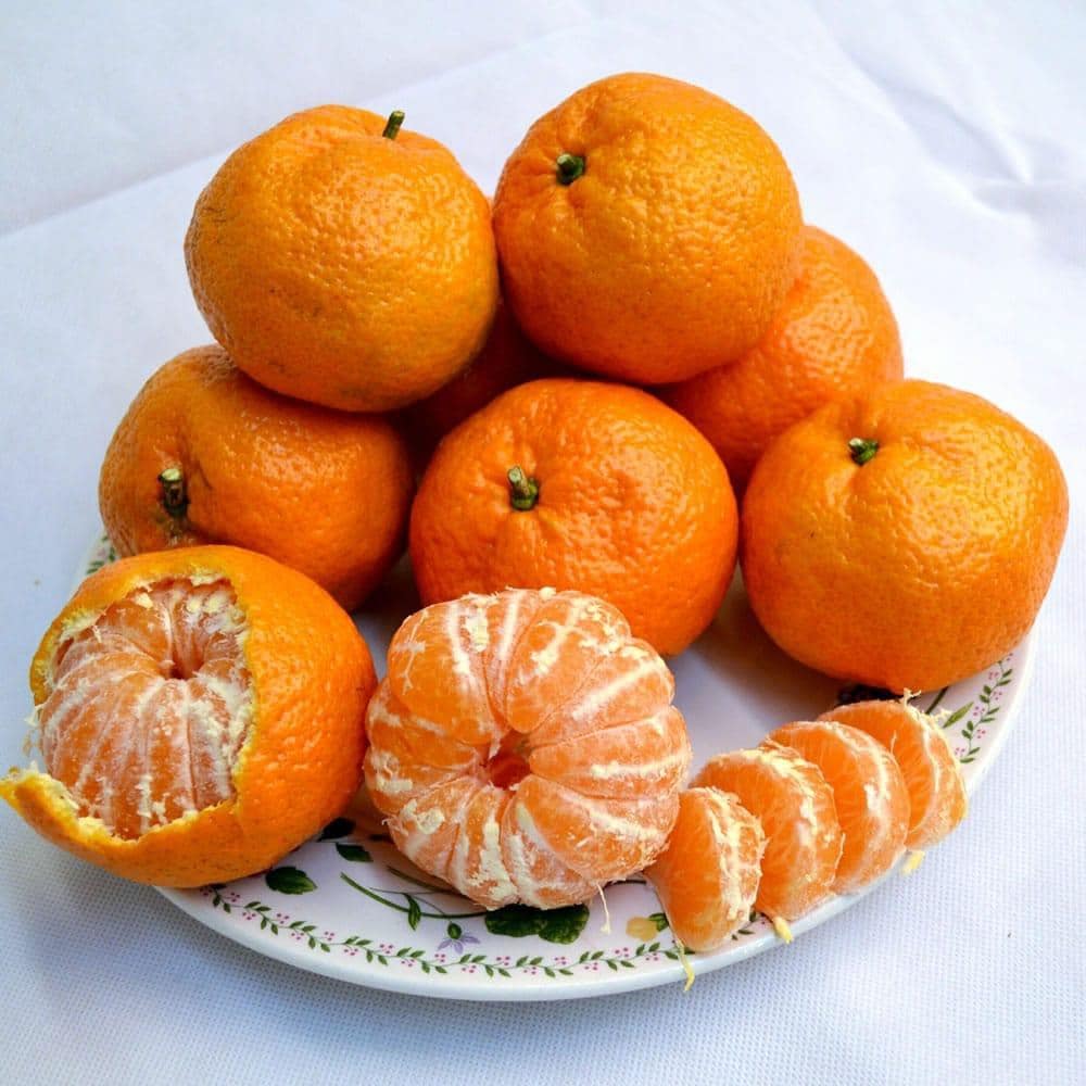 A seedless, easy-to-peel mandarin from Japan, offering a sweet and juicy bite, loved for its mild, non-acidic taste