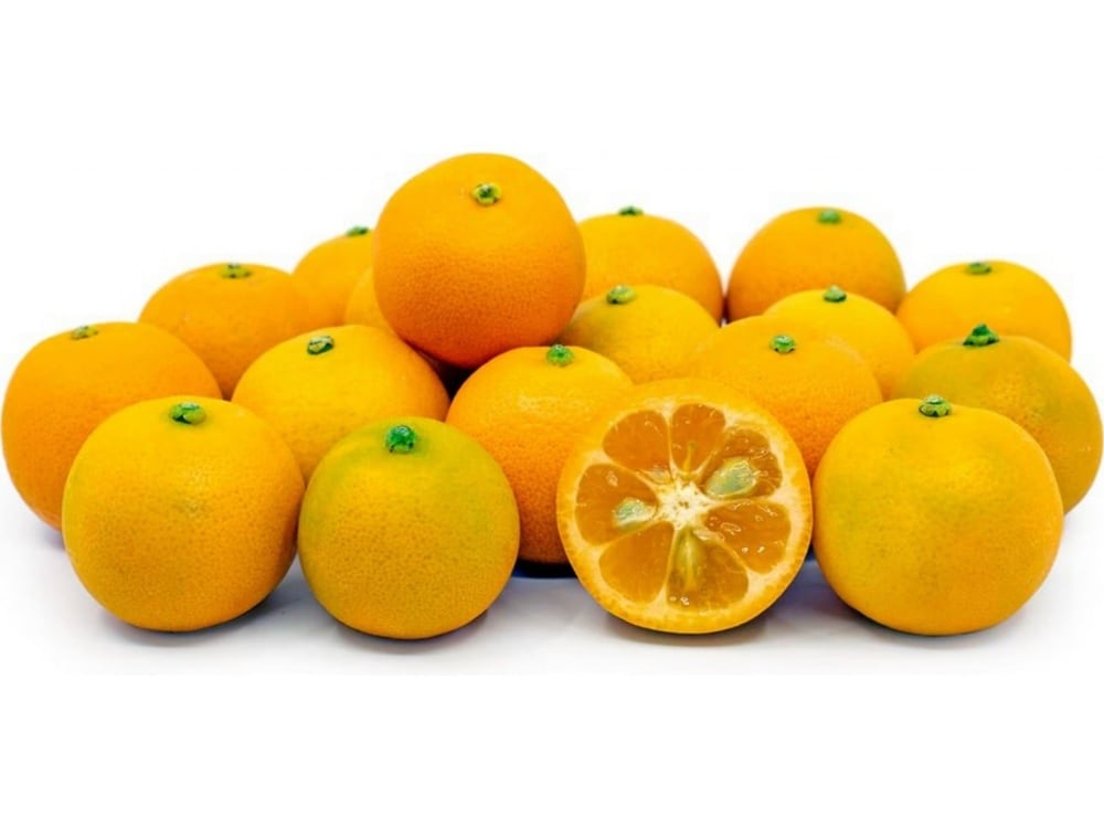 A small, tangy citrus commonly used in Filipino cuisine, known for its sharp flavor and versatility in dishes and drinks