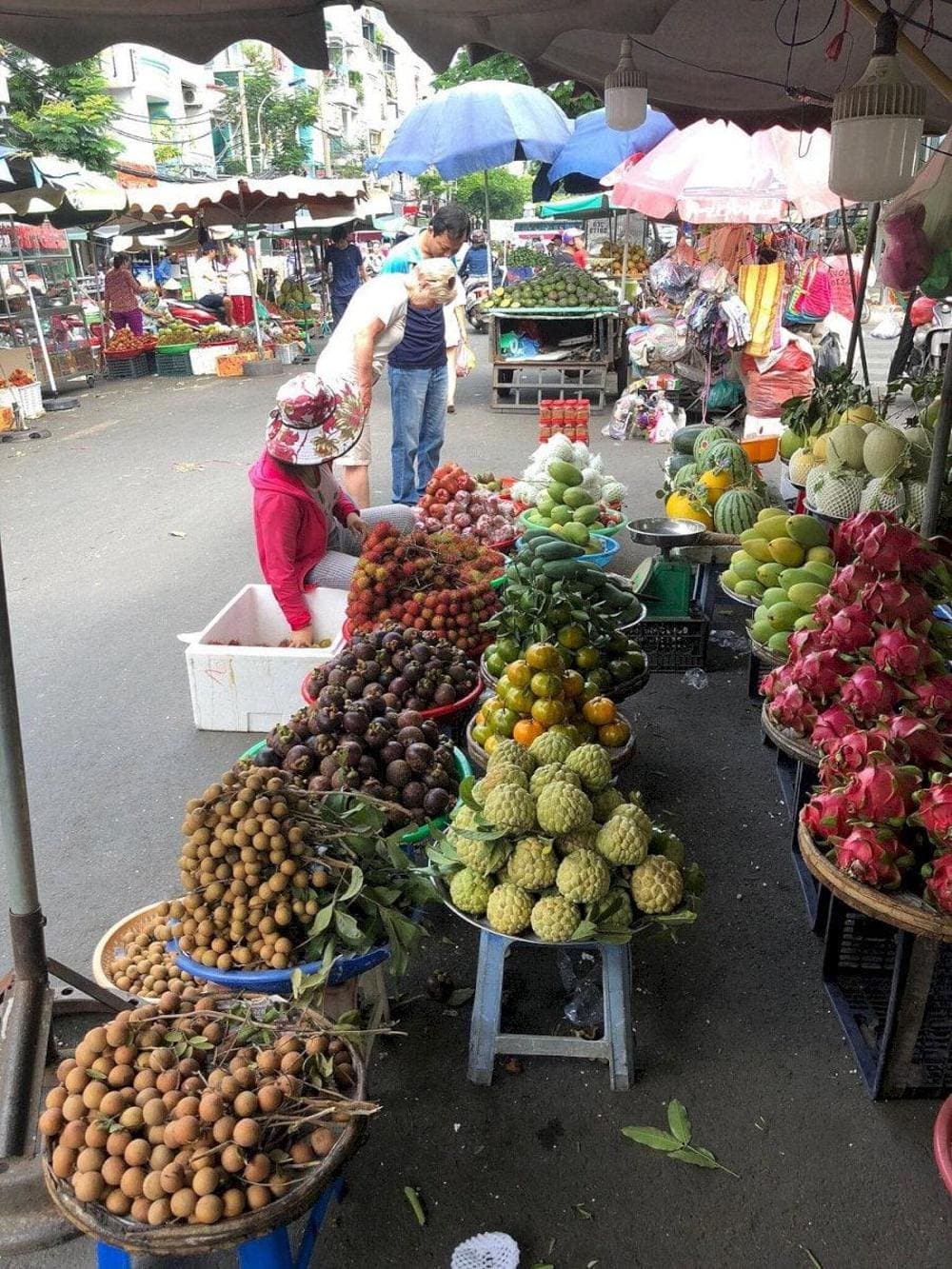 Tourists can find many types of Vietnamese specialty fruits
