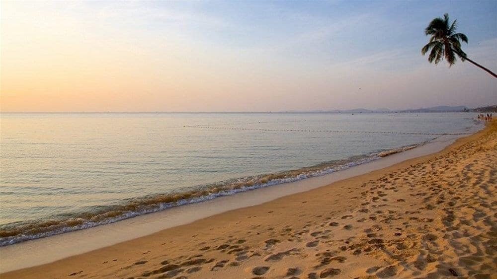 The shallow shoreline also makes it a great spot for families with young children to enjoy safe and peaceful beach time