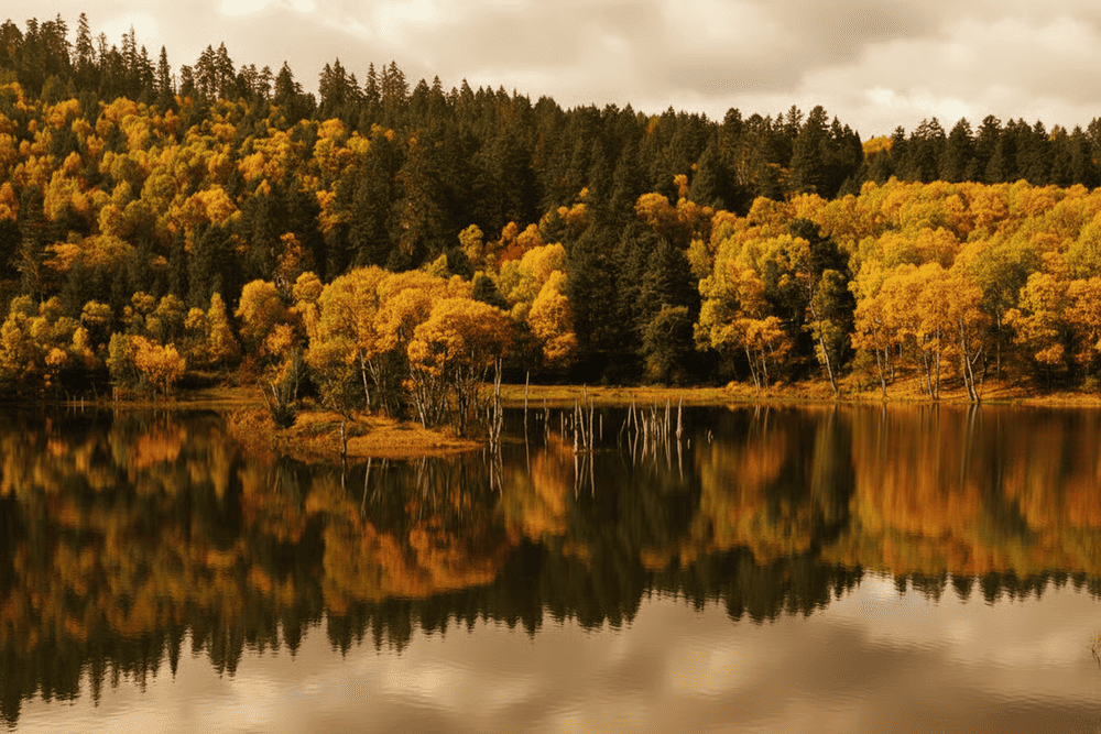 Pudacuo National Park features alpine lakes, coniferous forests, and lush meadows