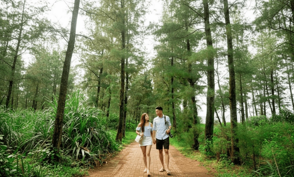 3.6. Lighthouse Area