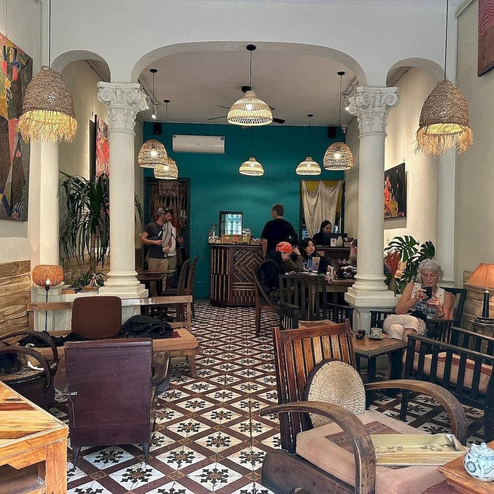 A boho-chic café with greenery, bookshelves, and organic coconut coffee options