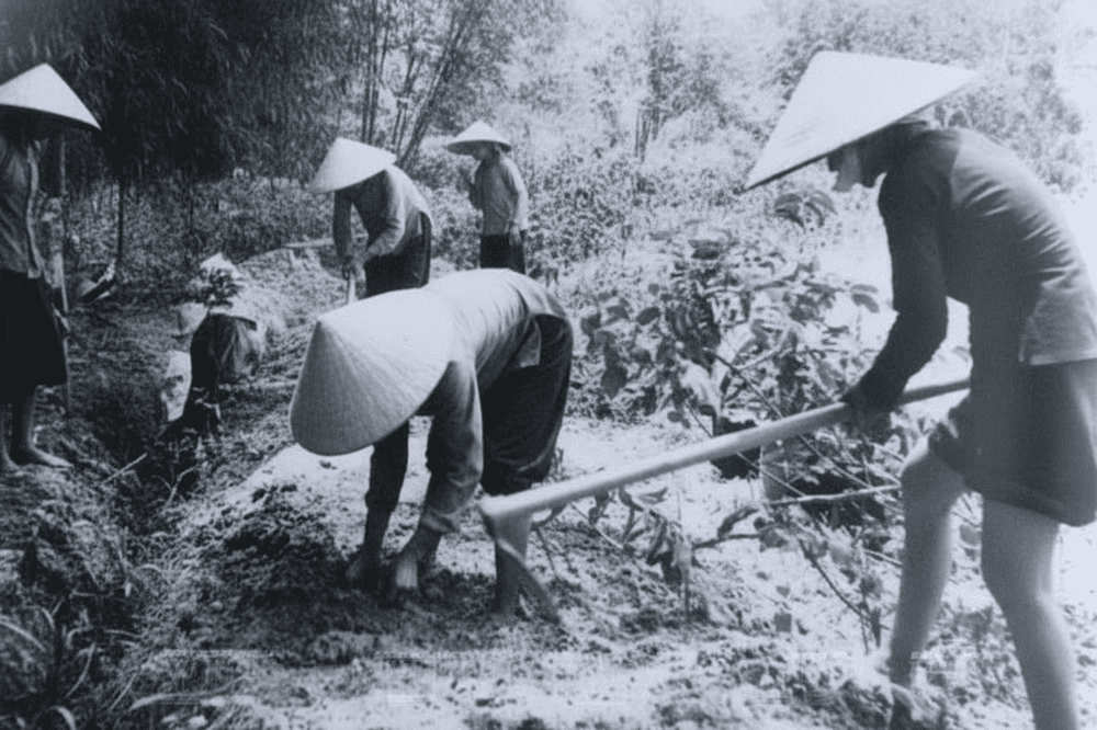 The Cu Chi Tunnels were built in the 1940s during the intense years of the First Indochina War in Vietnam