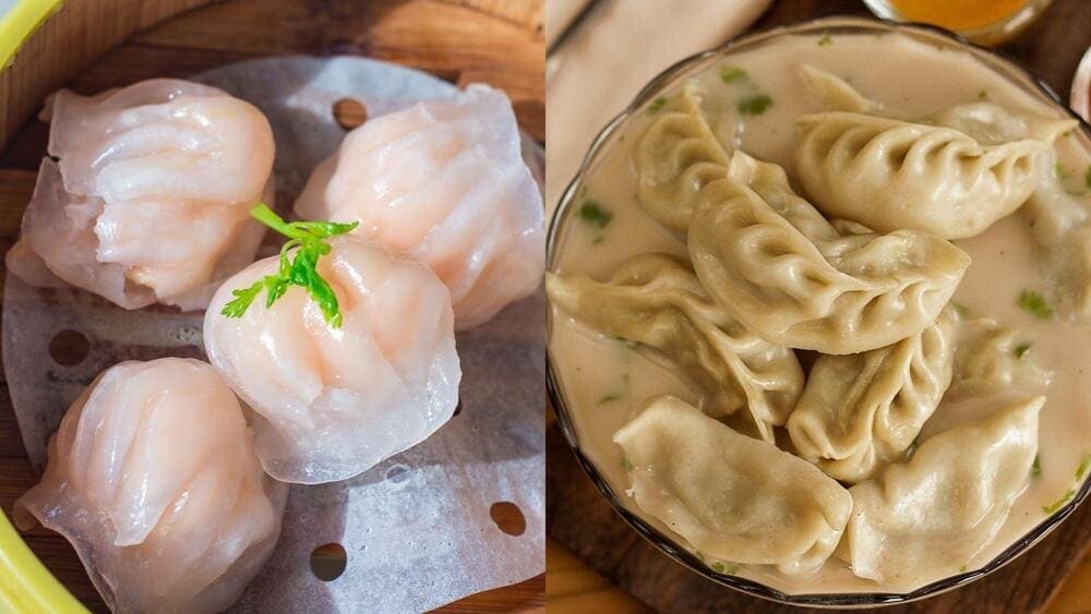 Assorted dumplings ready to be steamed or fried to perfection