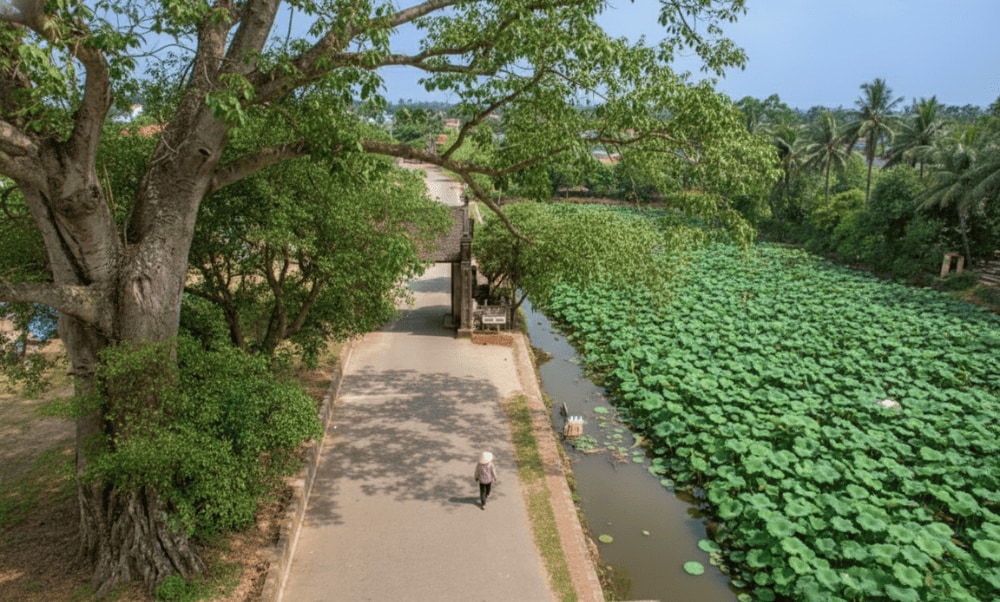 However, for a glimpse of the blooming lotus lake at the village gate, visit in May—if you don’t mind the heat