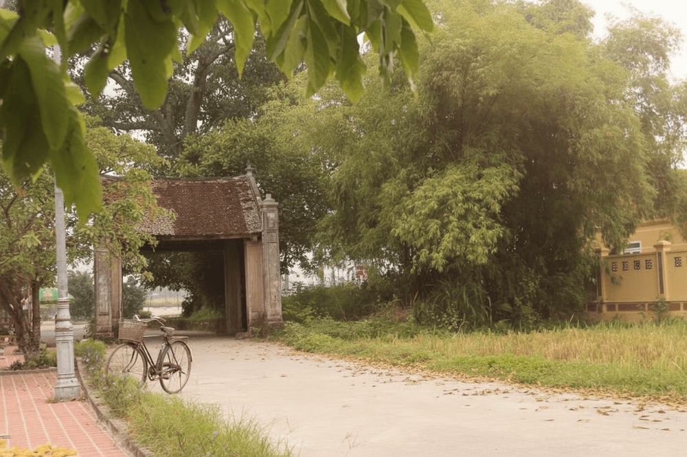 Motorbikes are perfect for adventurers who enjoy scenic countryside routes