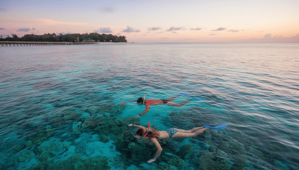 The ecosystem at Hon Kho is incredibly rich and diverse