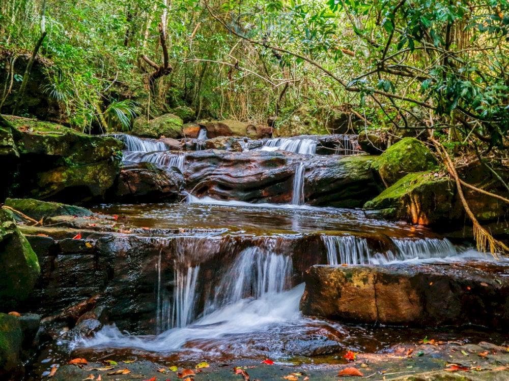 Phu Quoc’s Suoi Tranh offers a scenic waterfall and peaceful nature trails
