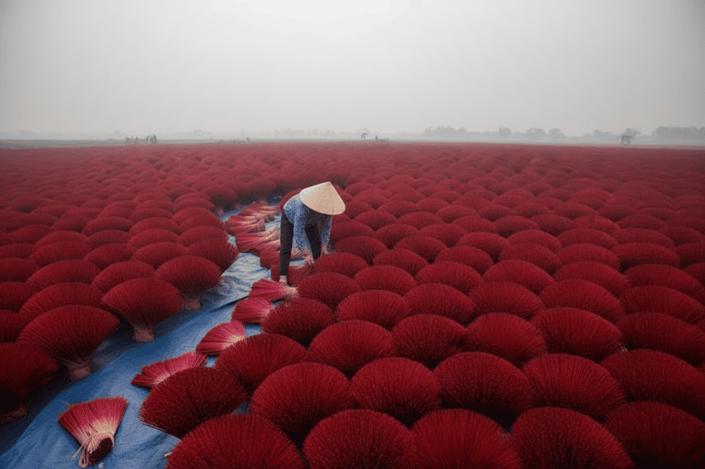 A sea of red incense bundles at Quang Phu Cau Incense Village, showcasing the beauty of traditional craftsmanship