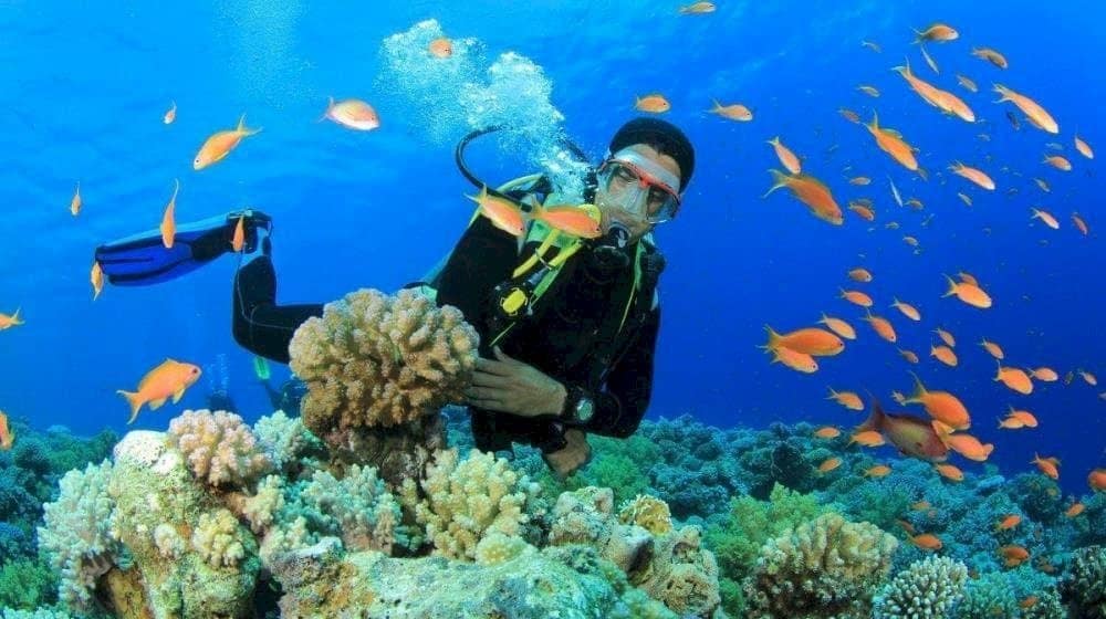 This underwater adventure offers a unique way to connect with Phu Quoc’s natural beauty