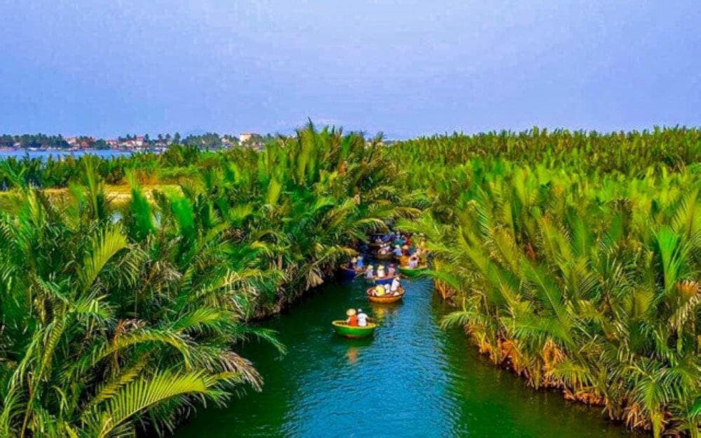 Visitors can travel in traditional sampans under shaded coconut groves