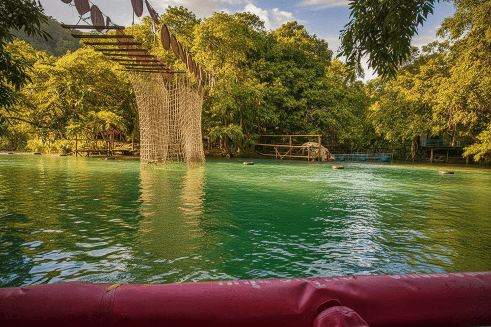 Floating in the spring’s crystal-clear water reveals a new perspective on the forest