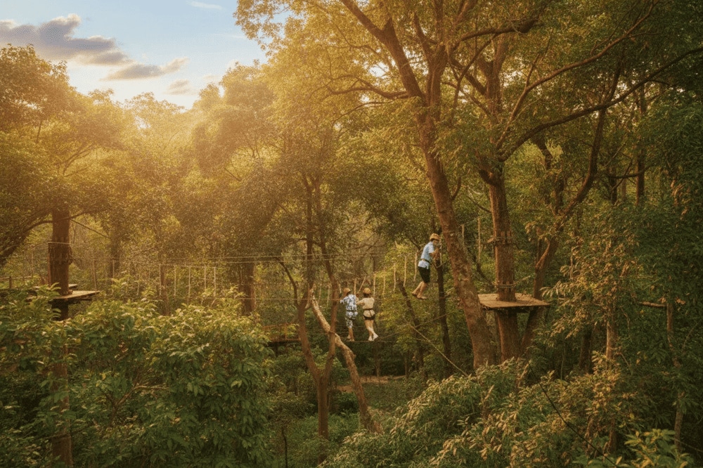 Visitors can explore native ecosystems via rope bridges, zipline routes, and guided forest path