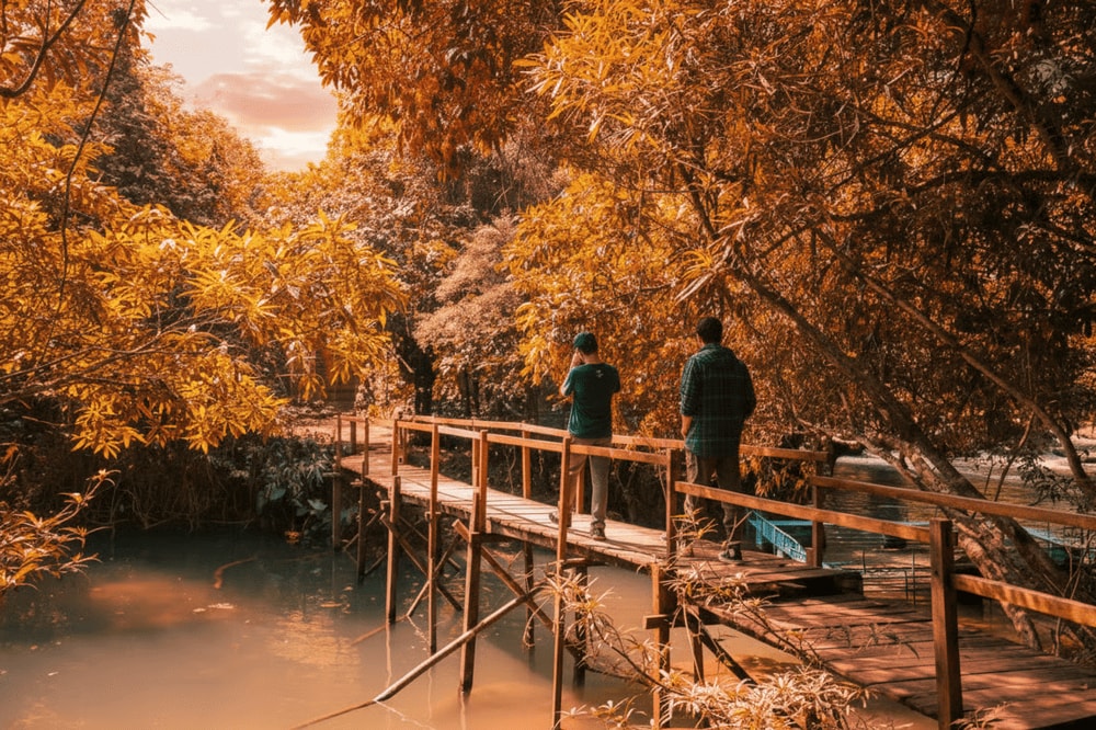 With its lush vegetation and vibrant wildlife, the spring serves as a perfect backdrop for nature photography