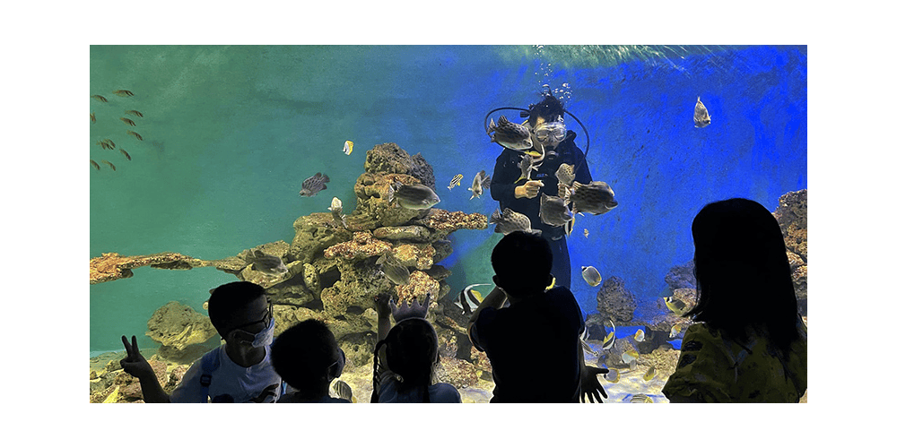 Discover 20,000 preserved specimens showcasing Vietnam’s marine biodiversity