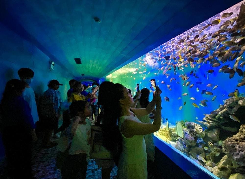 Getting to the museum is easy by taxi, motorbike, or local bus with scenic coastal routes