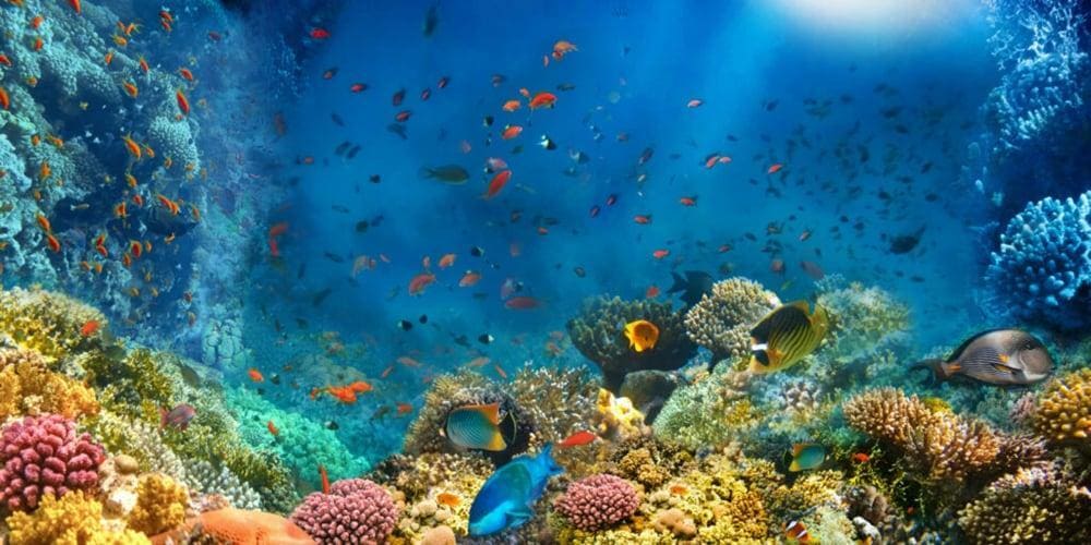Home to over 300 marine species in lifelike underwater habitats