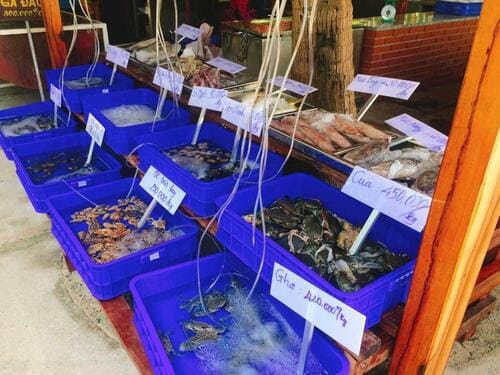 The seafood on the island is freshly caught by local fishermen, making it very fresh and delicious