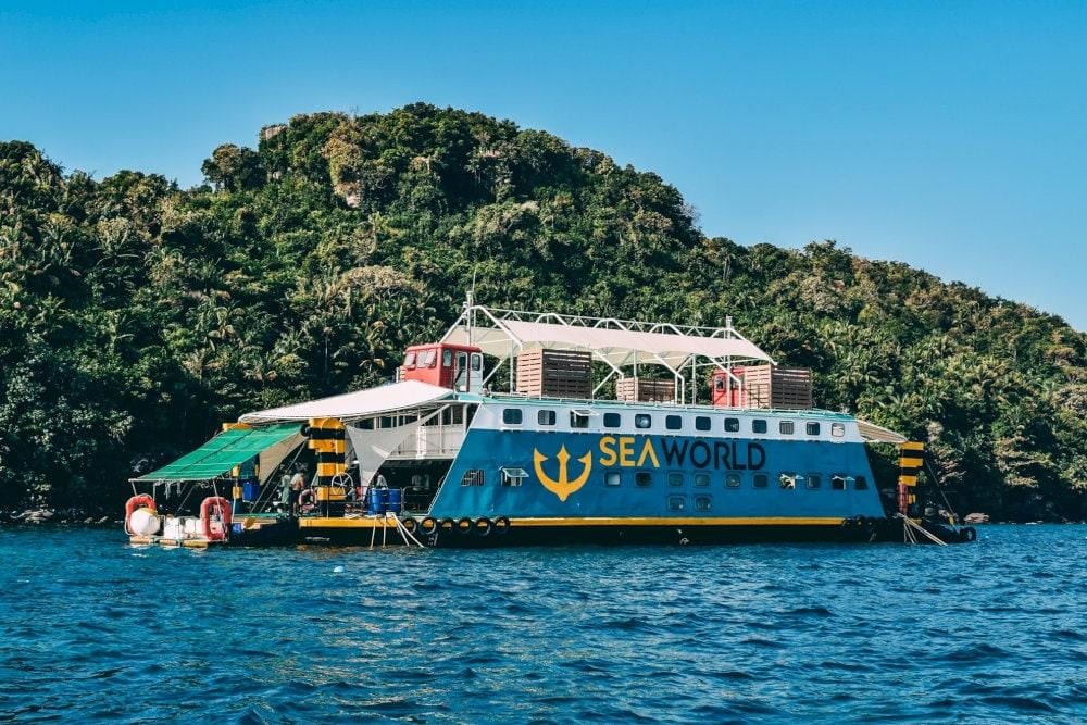 A scenic boat trip to Coral Park marks the beginning of the standard sea walking journey (Source: Viet Nam Authority of Tourism)