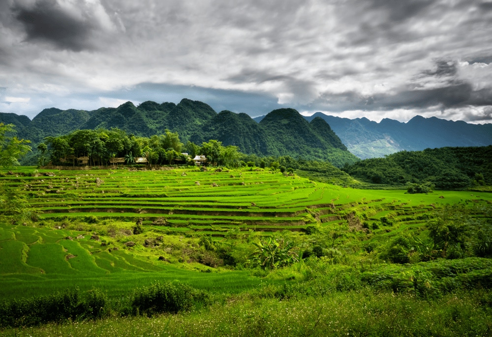 Panoramic mountain views from Pu Luong's highest peaks (Source: Canva)