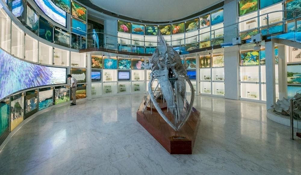 If you are a nature lover, you should not miss this area