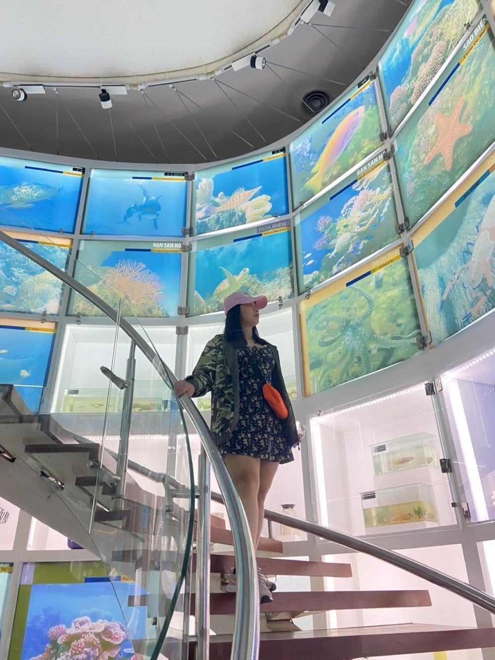 Visiting the Quang Ninh Museum is an experience not to be missed when you come to this region