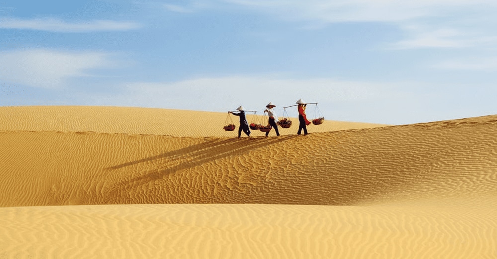 Phuong Mai Sand Dunes offer stunning natural landscapes with vast rolling sand hills ideal for exploration