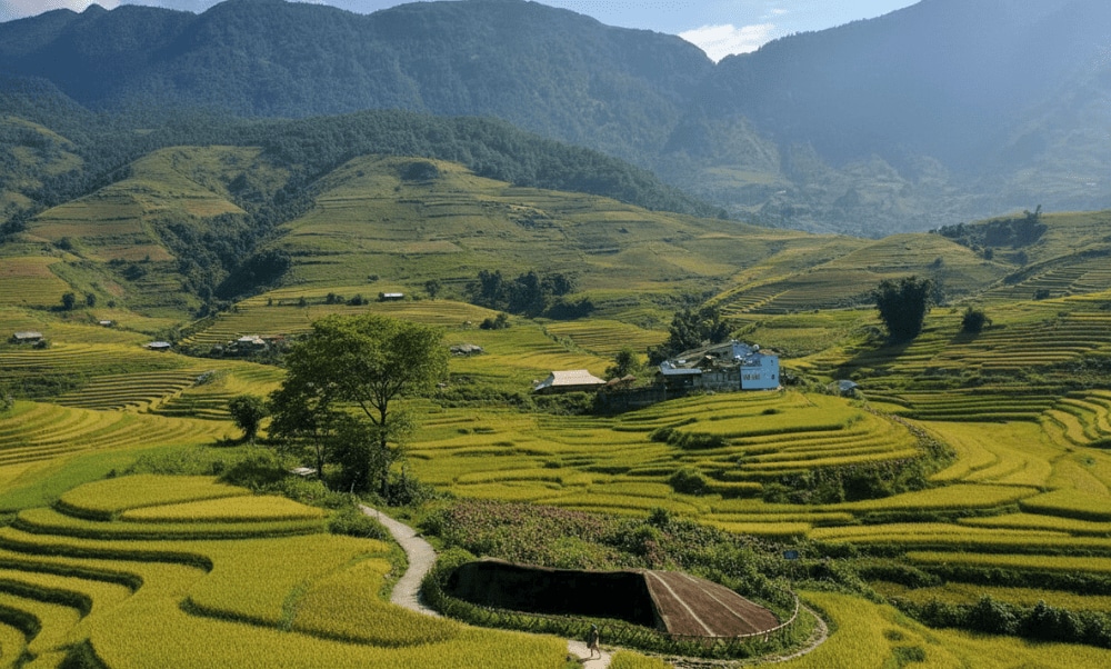 The Father Stone is the biggest one in the gallery, about 15 meters long and 6 meters high