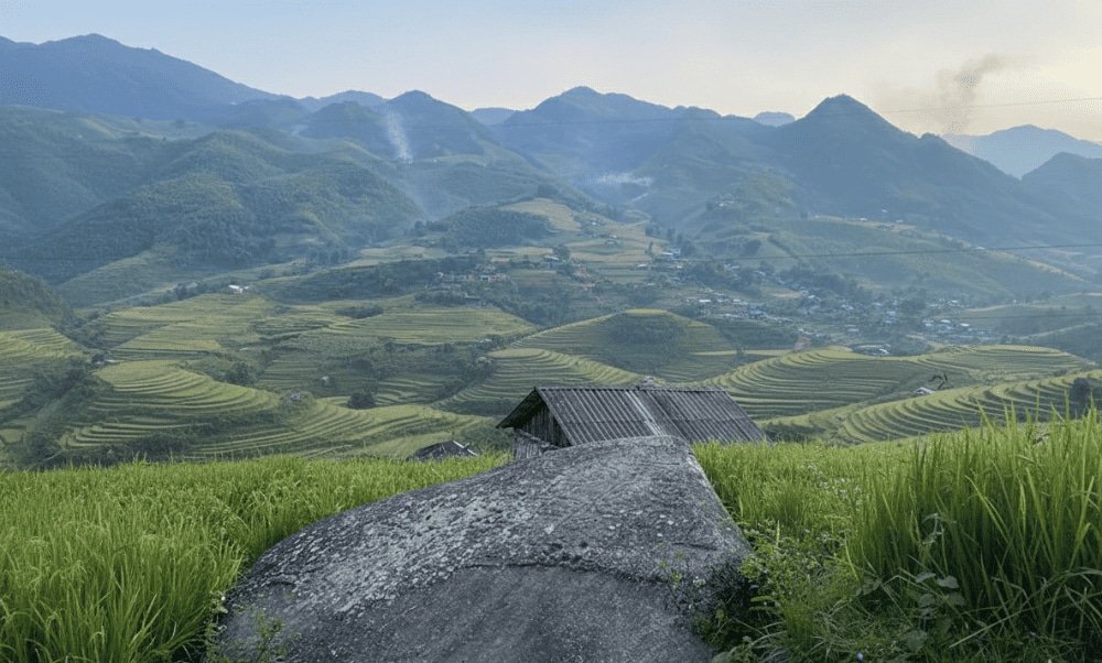 The uneven arrangement of the stones further highlights the mystery of this place, attracting the attention of visitors