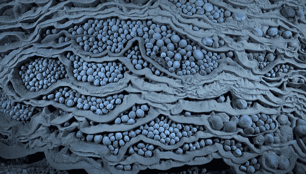 Cave pearls form over centuries as mineral-rich water coats grains of sand with calcite