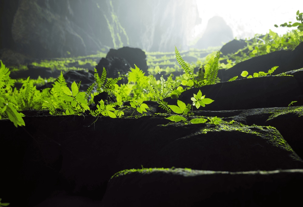 Participants are equipped with safety gear, including helmets, harnesses, and headlamps (Source: Canva)