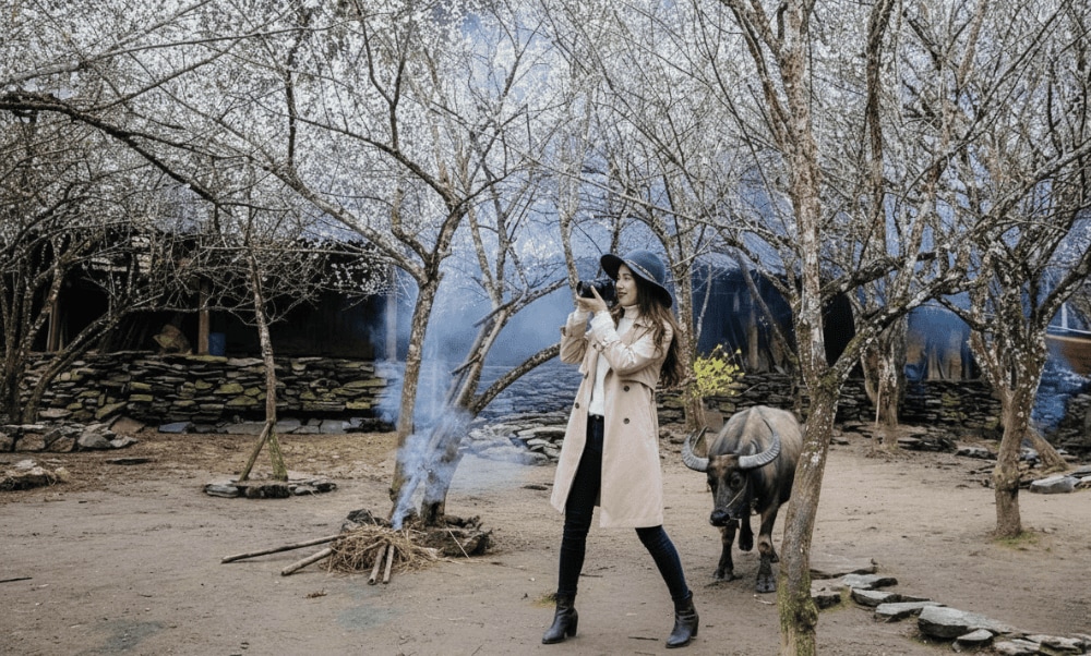 The plum blossom season will be the ideal time for girls who love dreams and are passionate about photography