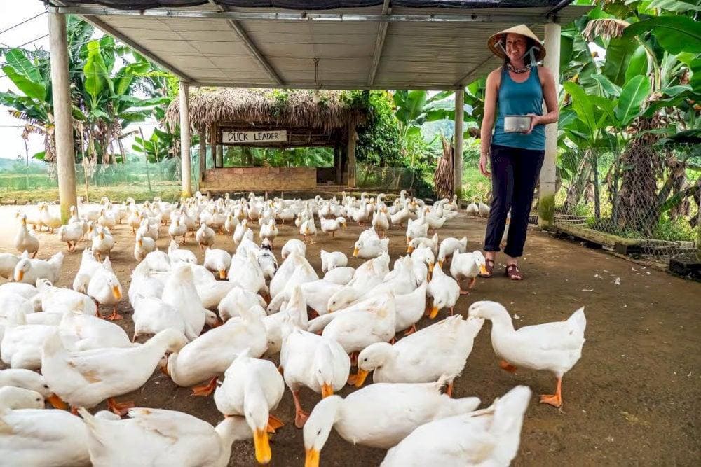 A place where visitors can experience a day in the life of a Vietnamese farmer