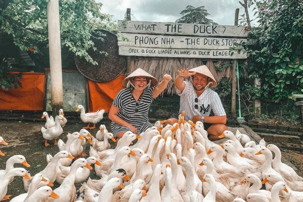 Visitors have the opportunity to experience feeding the ducks, creating a fun and interactive moment as they scatter food for the ducks to enjoy
