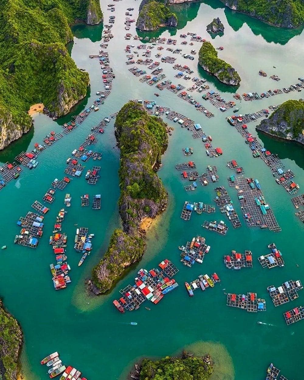 With over 300 floating houses, Cai Beo Floating Village offers a unique glimpse into traditional Vietnamese culture and lifestyle