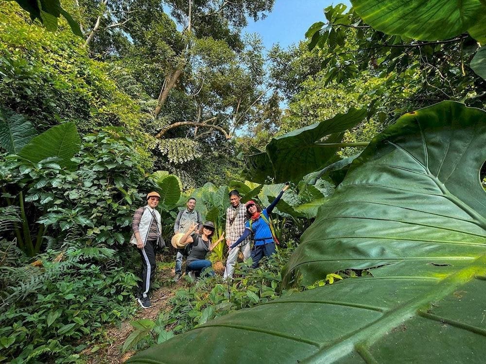 You can spend one day trekking through the jungle of Cat Ba National Park