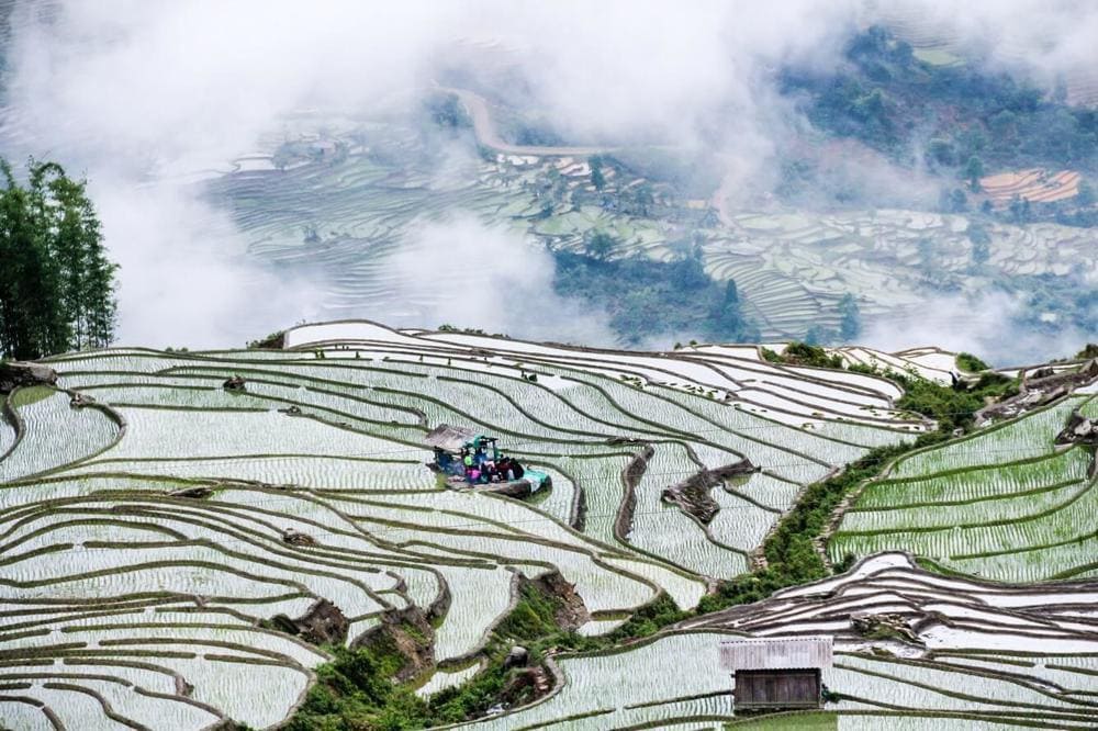 Fog rolls across the peaks of Sapa while farmers work soaked rice terraces beneath the clouds