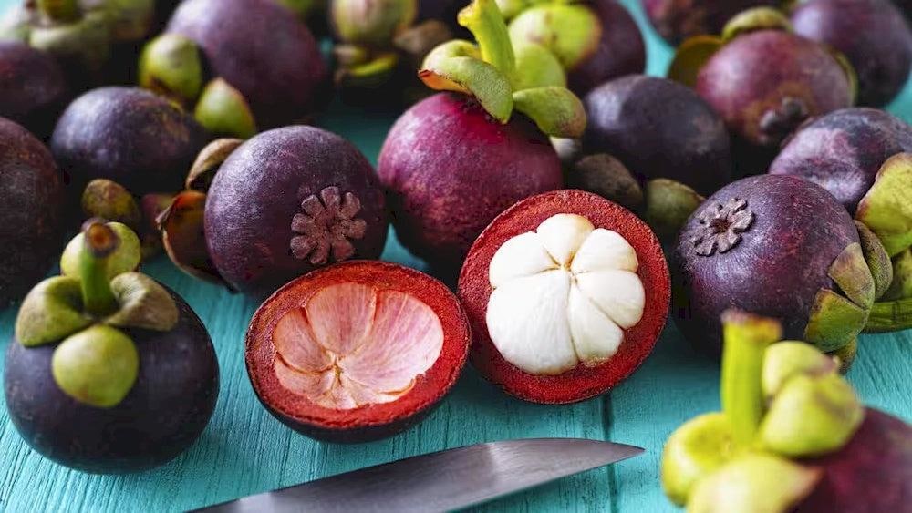 Only the white flesh of mangosteen is edible
