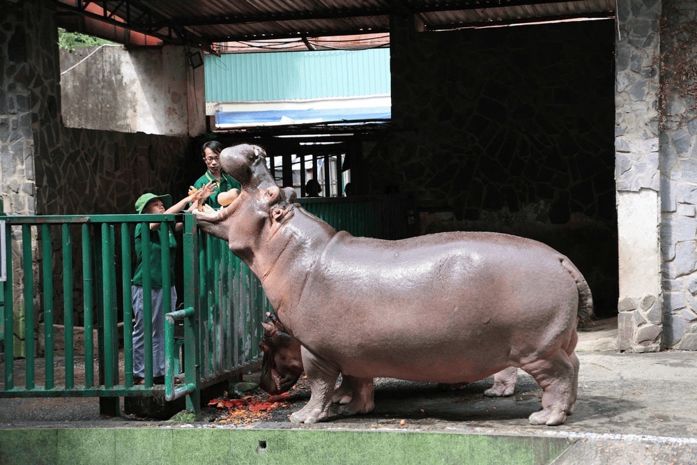 4. King’s Garden (Vin Wonders Nha Trang)