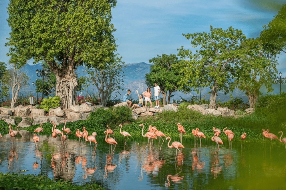The King’s Garden at VinWonders Nha Trang is home to rare species like white Bengal tigers, African antelopes, and South American parrots (Source: VinWonders Nha Trang)