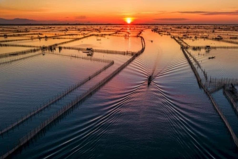 Thời điểm đẹp nhất để tham quan phá Tam Giang là lúc bình minh hoặc hoàng hôn, khi mặt nước phản chiếu ánh sáng tuyệt đẹp